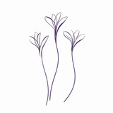 Fototapeta Dmuchawce - Elegant violet illustration rendered in vector.