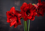 Three red amarylis flowers in a vase on a table. Generative AI.