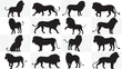 Lion Silhouettes Collection, Highly Detailed Lion Silhouettes Stock Illustration, set vector