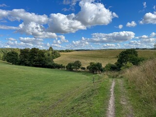 landscape in the summer