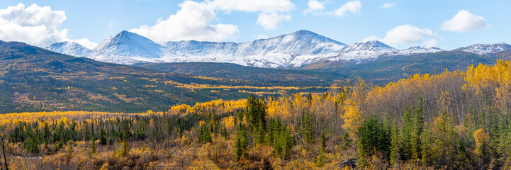 Fall panoramic landscape in northern Canada during autumn with bright yellow covering the arctic Yukon Territory scenic view in panorama drone, aerial, wallpaper, desktop, background