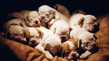 A Pile Of Adorable Bulldog Puppies Sleeping Together. Generative AI