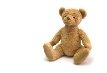 eddy bear against white background