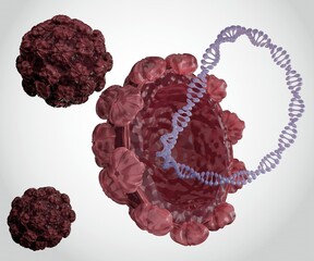 Wall Mural - Isolated human papillomavirus genomes consist of double-stranded circular DNA 3d rendering