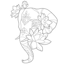 Indian Elephant Decorated With Flowers Coloring Book