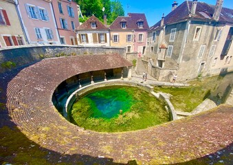 Wall Mural - Transparent natural spring of Fosse Dionne in the town of Tonnerre