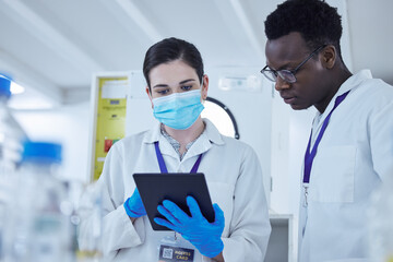 Aufkleber - Science, staff and man with woman, tablet and connection in a laboratory, virus research or medical. Coworkers, researchers or female employee with male scientist, digital planning and data analytics