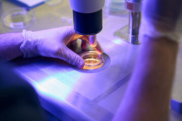 biolaboratory worker is examining samples under microscope