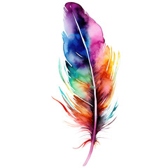 Poster - Colorful feathers watercolor style, PNG background