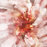 Fototapeta Młodzieżowe - bright pink sakura blooms flowers on a white background paint drawing art