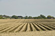 Champs taillés en lignes par rangées pour la plantation de pommes de terre à Braine-le-Comte 