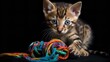 Bengal Kitten's First Tug of War with a Yarn Ball
