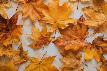 Poster - autumn leaves in warm tones on a blank background Generative AI