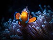 Orange clown fish macro shot facing front swim above anemone coral under sea created by Generative AI technology