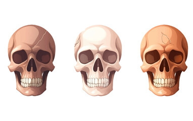 ui set vector illustration of human colorful skull isolate on white background