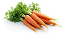 Bunch Of Carrots Isolated On White Background