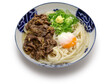 Sanuki udon with beef and soft-boiled egg, Japanese noodle dish
