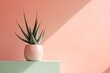 0247. Aloe vera in front of light pastel wall. Generative AI