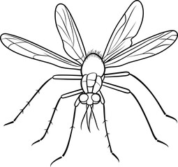 Wall Mural - Mosquito, colouring book for kids, vector illustration