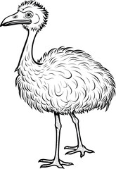 Wall Mural - Ostrich, colouring book for kids, vector illustration