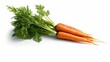Carrot isolated on white. Generative AI