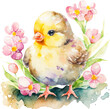 cute baby chick with spring flowers watercolor isolated