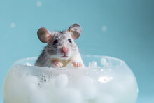 Cute Grey Little Mouse Washes In A Toy Tub With Foam And Soap Bubbles Isolated On A Flat Blue Background. Generative AI Professional Photo Imitation.