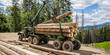 Wheel-mounted loader, timber grab. Lumberjack with modern harvester working in a forest. Forest industry. Felling of trees,cut trees , forest cutting area, forest protection concept