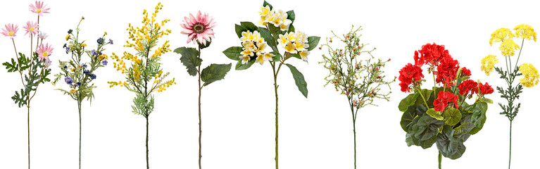 Wall Mural - set of flowers on transparent background