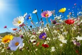 Fototapeta  - Flower Meadow in Spring with Clear Blue Sky. Generative ai