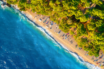 Wall Mural - view from the air on the beach. aerial view. rest on the beach. sea relaxation and travel. the fores