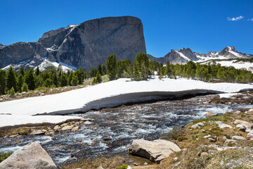 Canvas Print - Mountains river