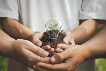 Wall Mural - volunteer hands hold a small tree growing on coins and light bulbs, energy saving, and eco business 