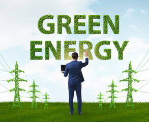 Wall Mural - Businessman in green energy concept