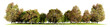 PNG autumn tree and forest line , 3d illustration rendering