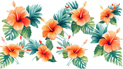 Wall Mural - vibrant hibiscus flowers in tropical paradise isolated on a transparent background for design layouts