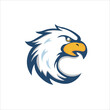 Vector hand drawn of eagle head eagle mascot for tshirt sport wear logo