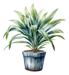 Wall Mural - Watercolor hand drawn illustration of Dracaena plant isolated. Generative AI.