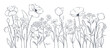 Poppies and other wild flowers. Sketch in lines, freehand drawing. Vector illustration, summer background, flower meadow.	