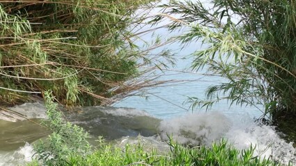 Wall Mural - Waterfall pouring into the sea