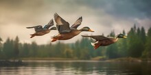 Portrait Mallard Ducks Flying Over The Lake AI Generative