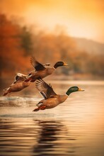 Portrait Mallard Duck Flying Over The Water AI Generative