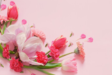 Wall Mural - beautiful spring flowers on pink background