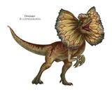 Fototapeta Dinusie - Dilophosaurus with frill illustration. Dinosaur with crest on head. Brown, yellow dino. Roar dino