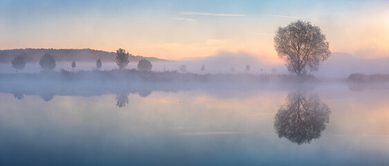 Big Willow Tree by Lake with morning fog at dawn