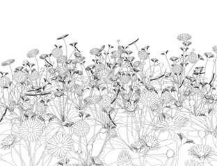 Poster - Set of differents flower linen on white background. Grass with herbs and wild flowers. Vector isolated contour of floral meadow. Black outline of grass, flowers and herbs isolated on white background.