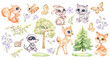 Watercolor Forest animals. Set of cute woodland characters. Baby deer, squirrel, little fox, wolf, bunny, hare, badger, butterfly, moth, flowers and tree. Hand-painted wildlife.