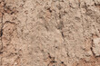 Abstract background. Clay sandy soil. Organic texture of the ground on the sea coast, close up.
