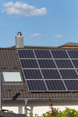 Wall Mural - solar panel rooftop on building roof