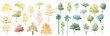 tree watercolor vector illustration, Minimal style tree painting hand drawn, Side view, set of graphics trees elements drawing for architecture and landscape design.  autumn, spring